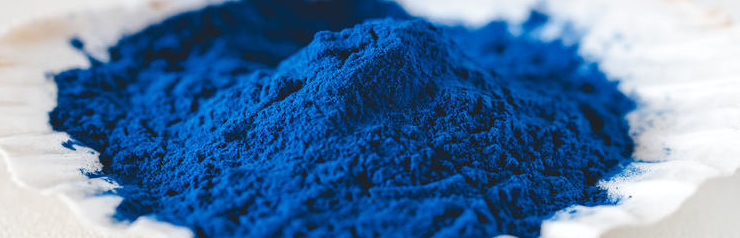 Spiruline bleue riche en phycocyanine