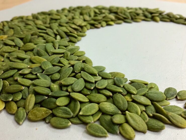 graines de griffonia